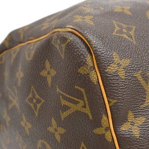 Louis Vuitton Speedy Handbag 396772